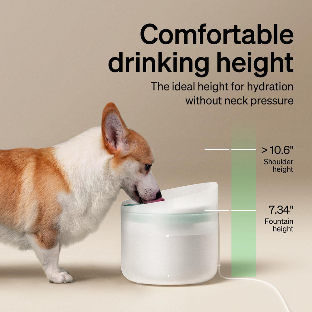 PETLIBRO compatibilidad con PLWF008, fuente de perros