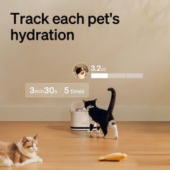 PETLIBRO app controla hidratación y envía recordatorios útiles.