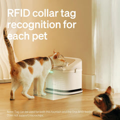 PETLIBRO reconocimiento collar RFID identifica cada gato para hidratación personalizada.