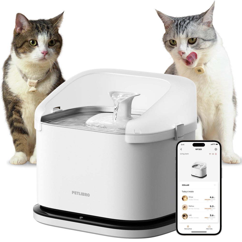 PETLIBRO RFID fuente gatos 101oz: gran capacidad para varios felinos y monitoreo.