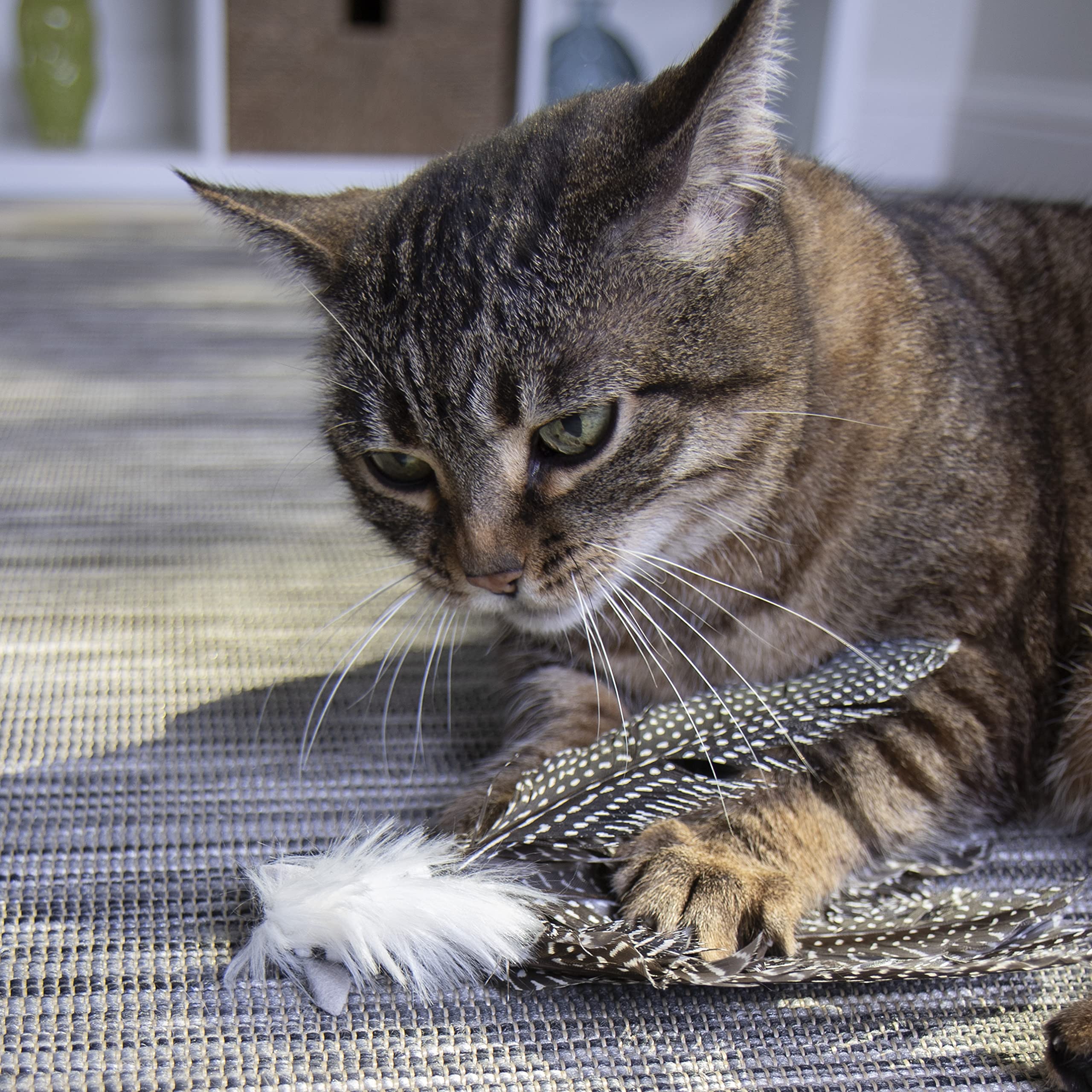 Petlinks HappyNip Zippy Zebra: texturas variadas para cazar y explorar