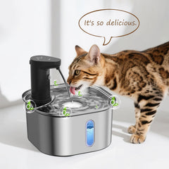 Petlipo fuente de agua para mascotas: agua más clara y fresca