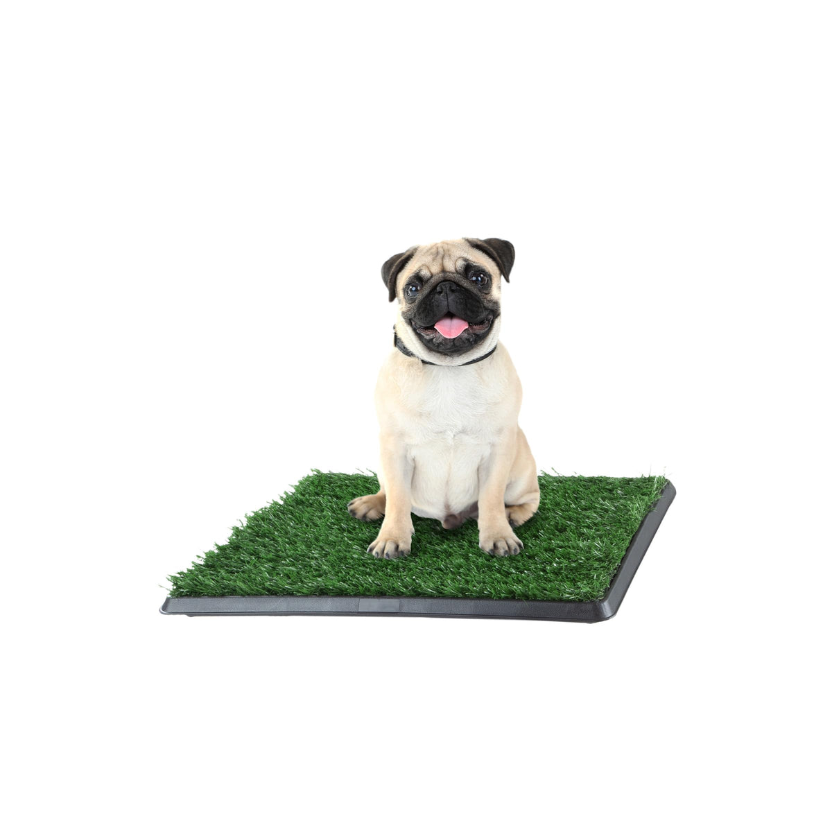 PETMAKER cesped artificial con bandeja, ideal para entrenamiento en casa