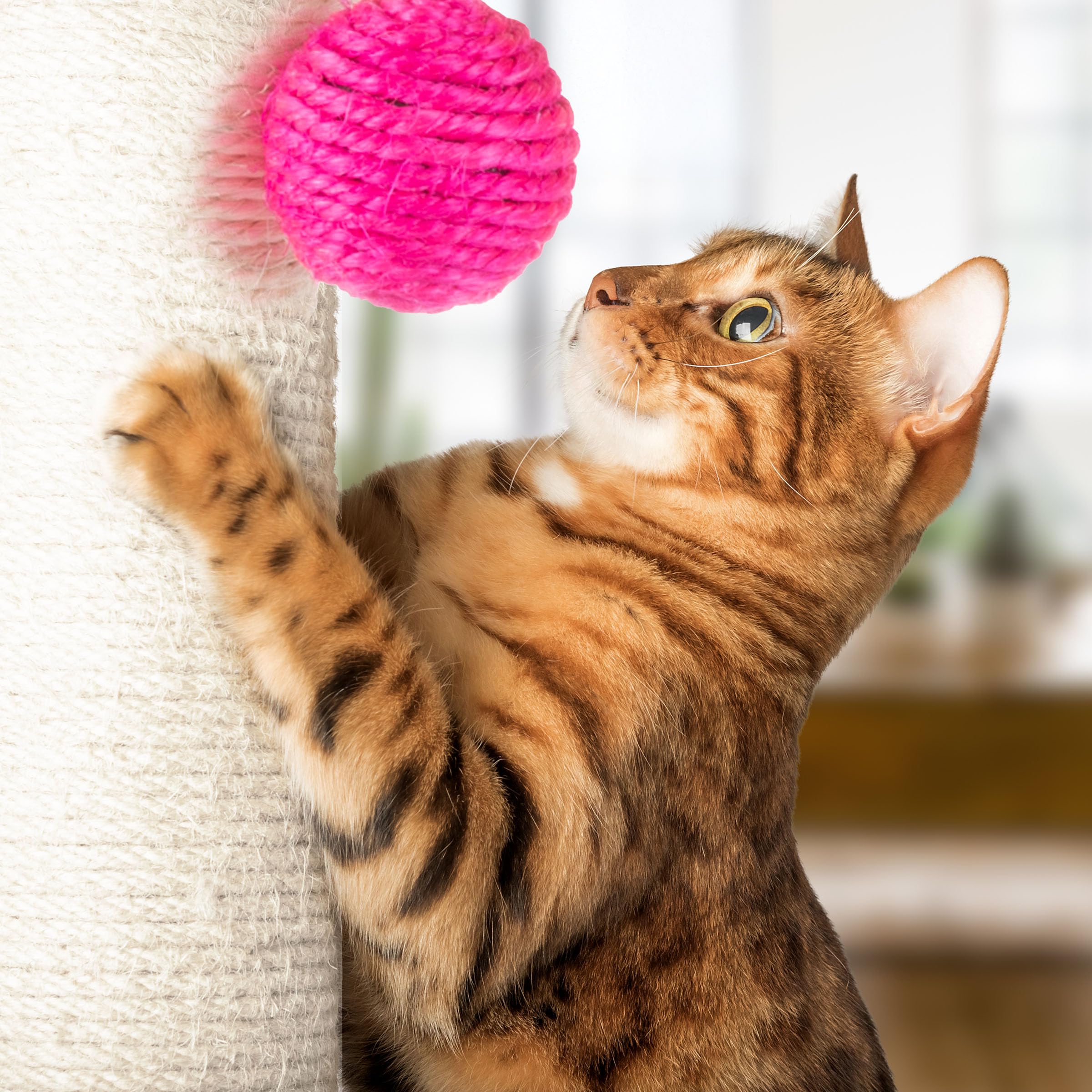 PETMAKER diseño compacto permite ahorrar espacio en casa.