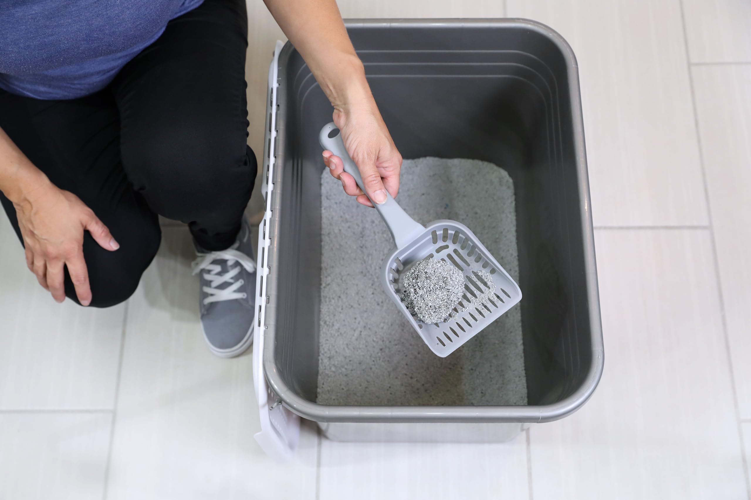 Petmate asas integradas facilitan mover la caja con estabilidad.
