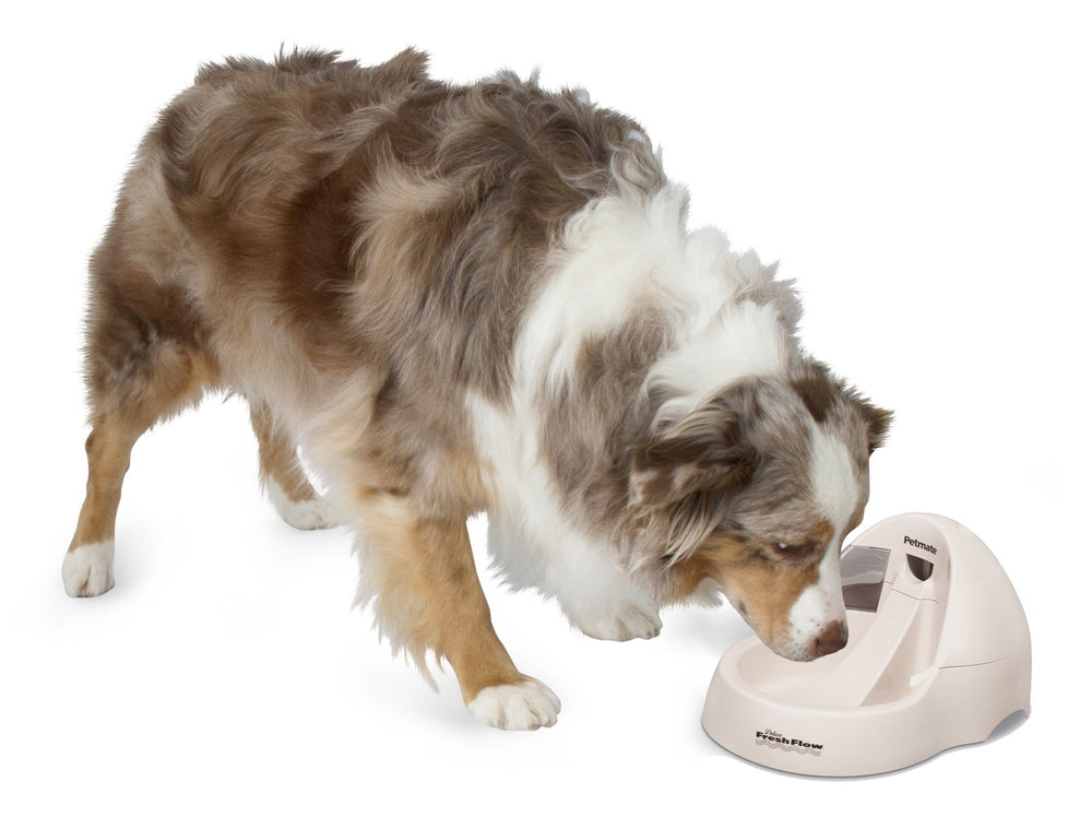 Petmate Fresh Flow Deluxe uso en bebederos automáticos ofrece agua oxigenada.