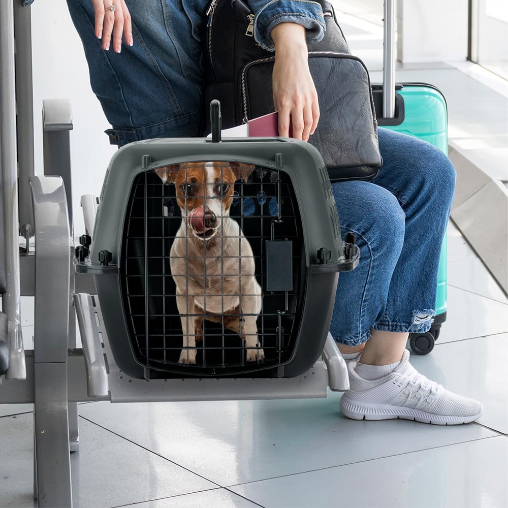 Petmate Pet Porter espacio-identificacion, almacenamiento para identificación adicional.