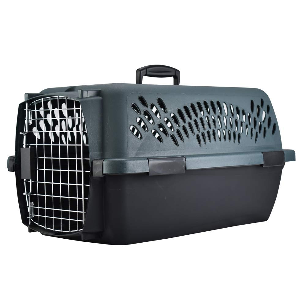 Petmate Pet Porter interior-21x13-5x11-5, espacio cómodo para la mascota.