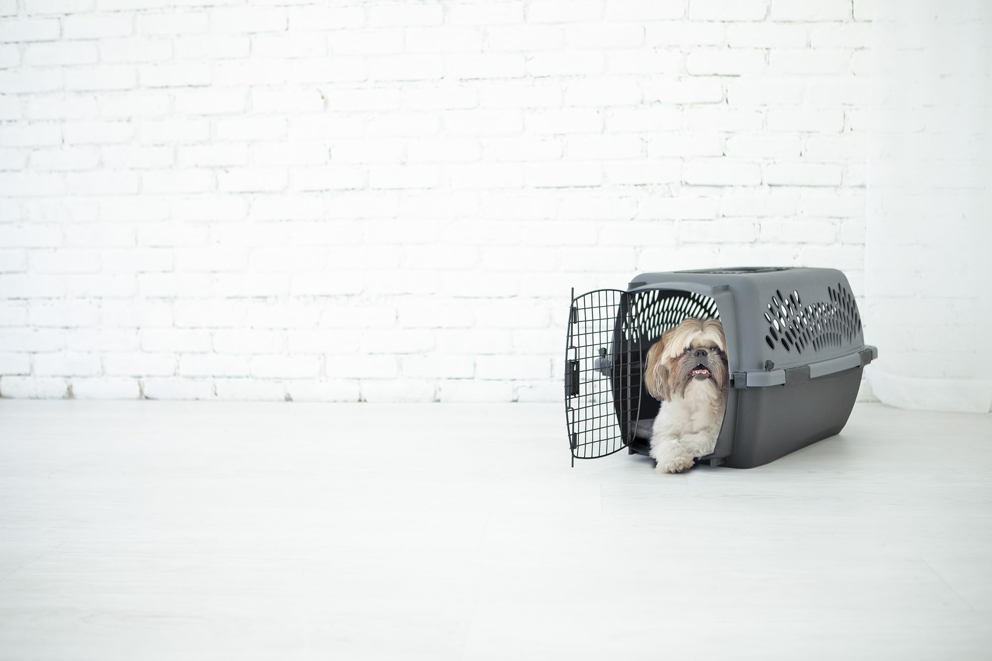 Petmate Pet Porter jaula para perro, limpieza sencilla gracias a carcasa plástica