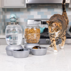 Petmate Replendish bebeder automático para mascotas, acceso cómodo a agua fresca