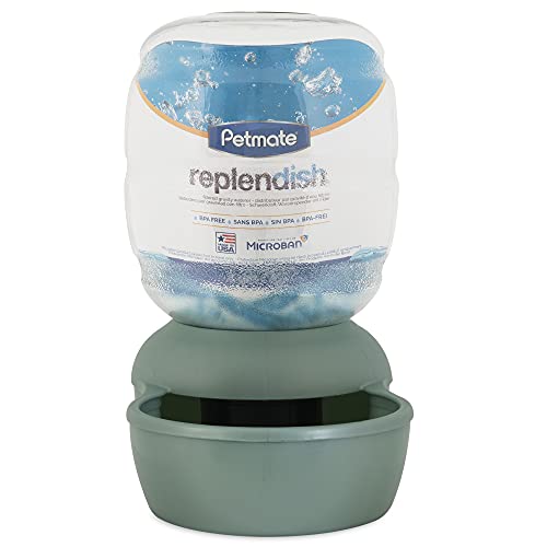 Petmate Replendish para gatos y perros, sistema de gravedad para agua accesible