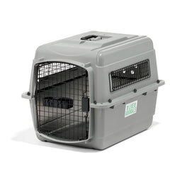 Interior espacioso del Petmate Sky Kennel para perros medianos.
