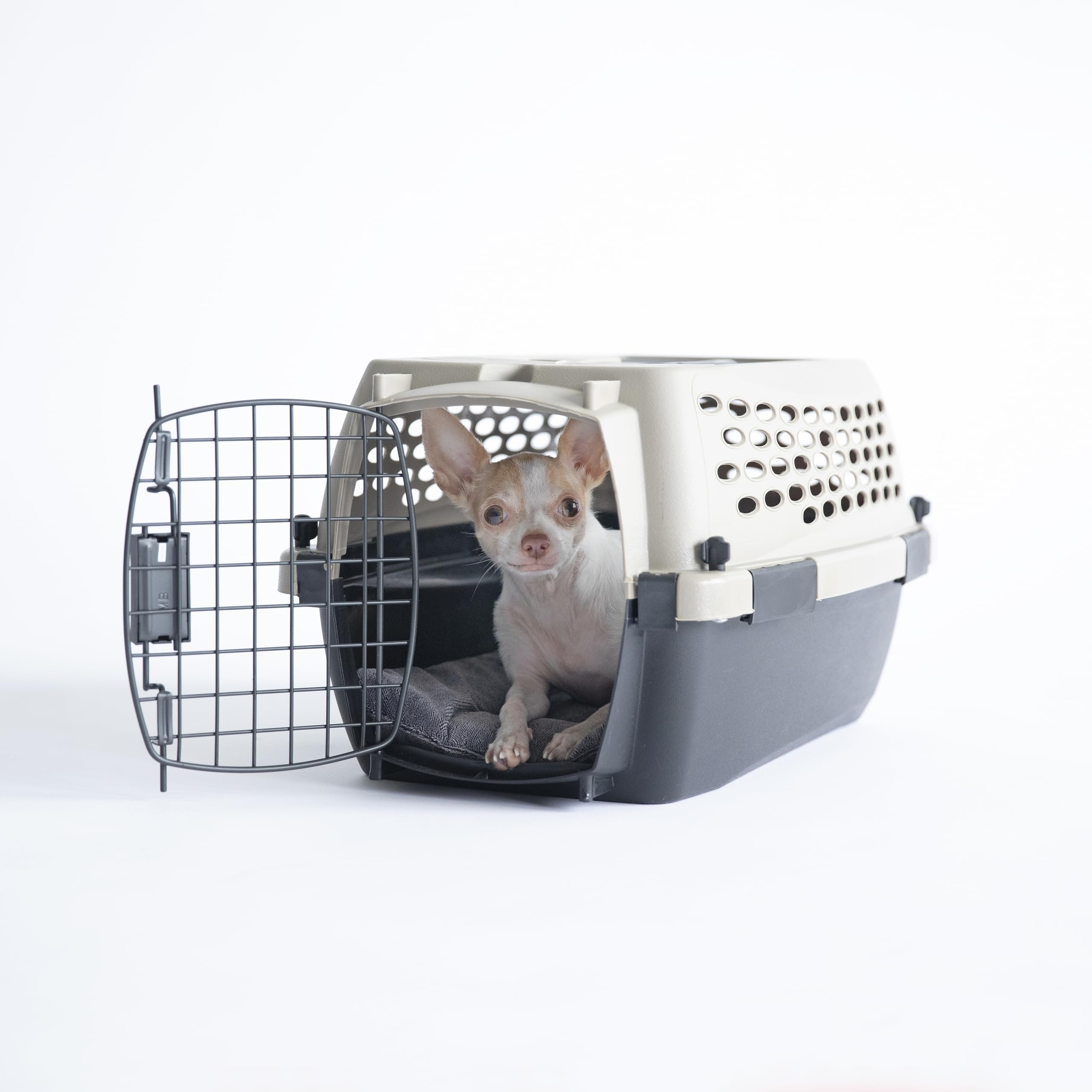 Petmate Vari Dog Kennel: plástico resistente para uso prolongado.