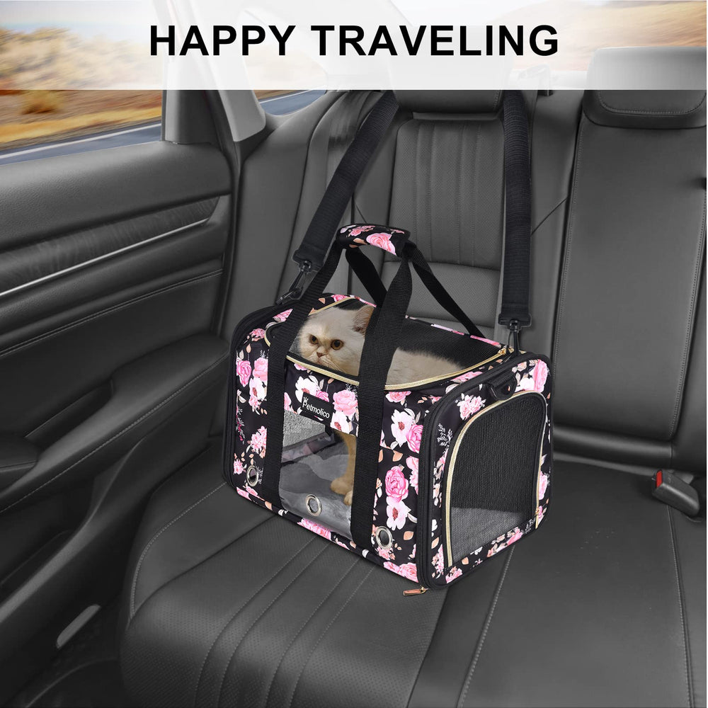 Usos múltiples del transportín Petmolico para avión y coche