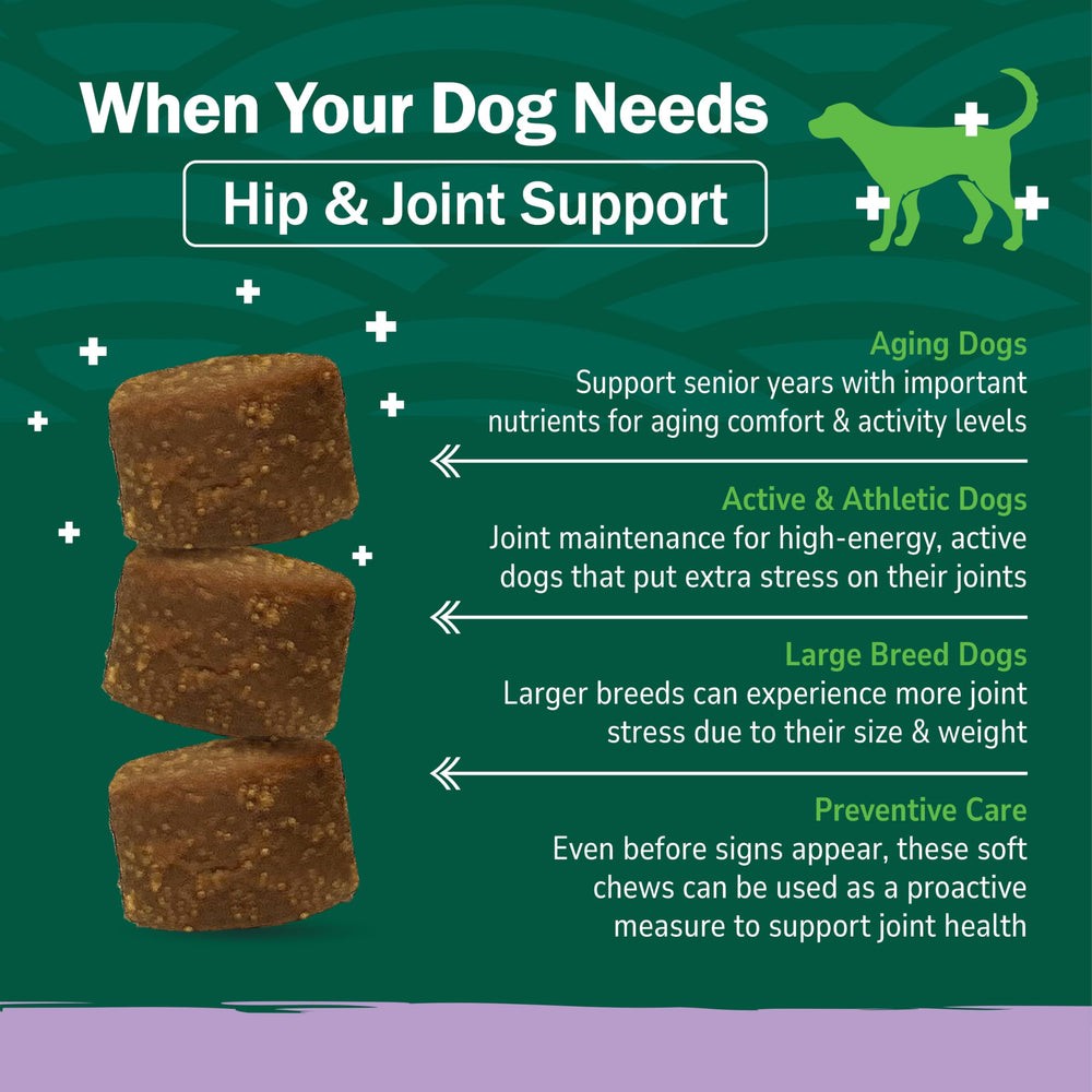 PetNC Hip & Joint, MSM para flexibilidad y confort diario