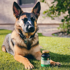 PetNC Natural Care masticables para perros, empaque práctico de 60 comprimidos