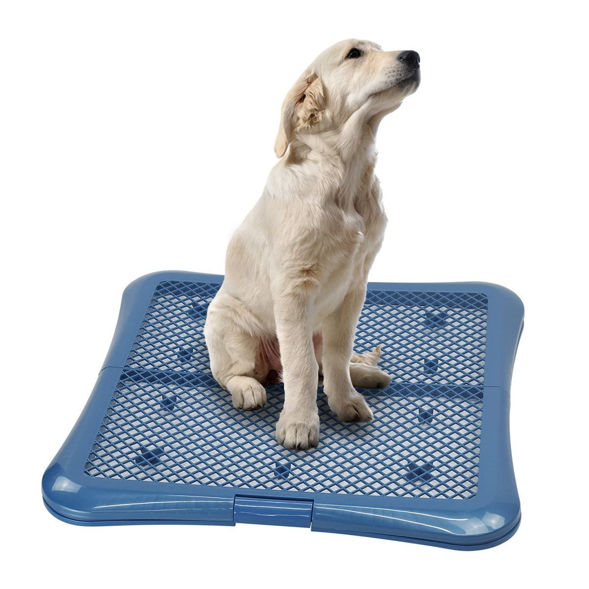 Petphabet porta-tapete-entrenamiento 24x24: mantiene seguro el tapete para un entrenamiento limpio.