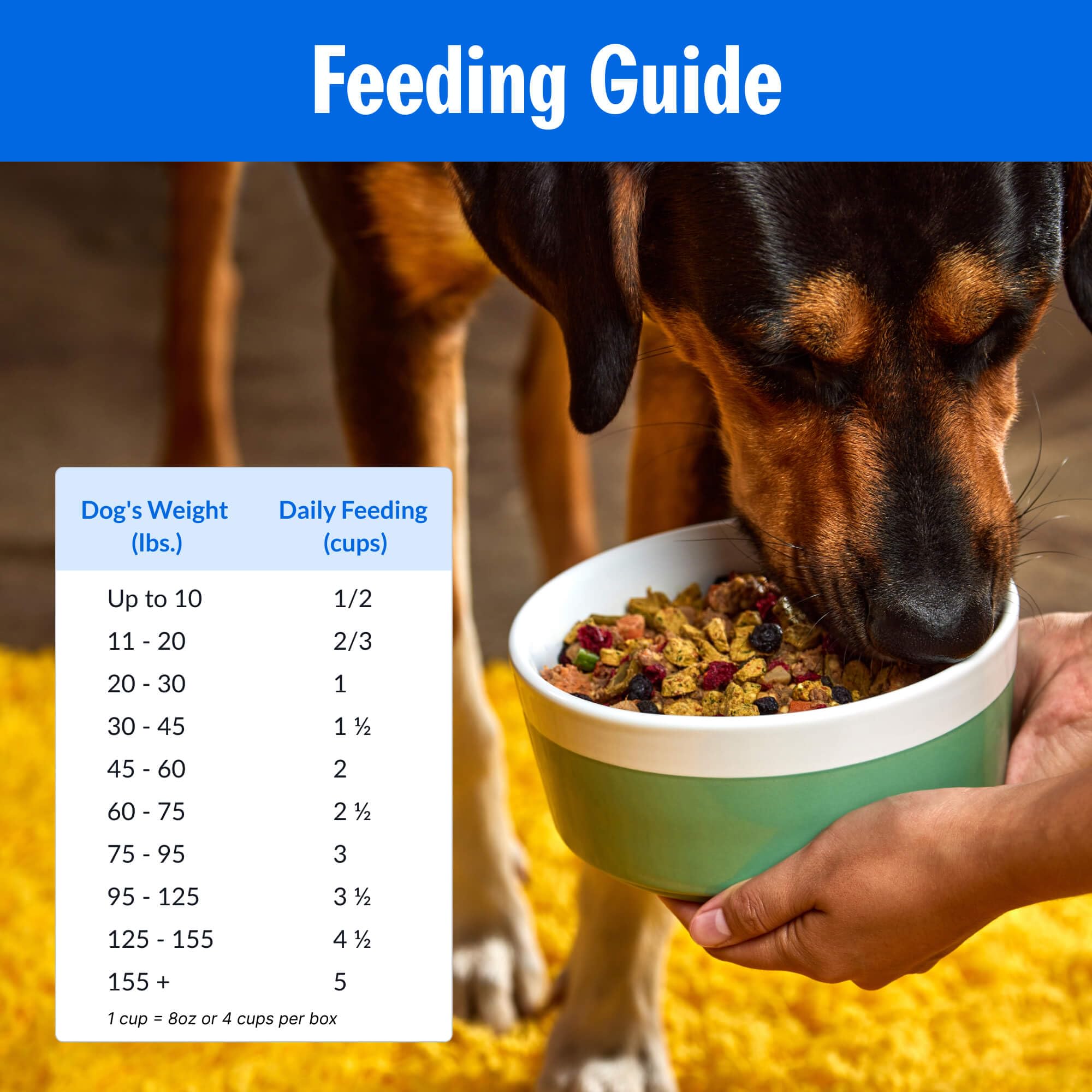 PetPlate Roost Rulin sin subproductos ni rellenos para perros sensibles.