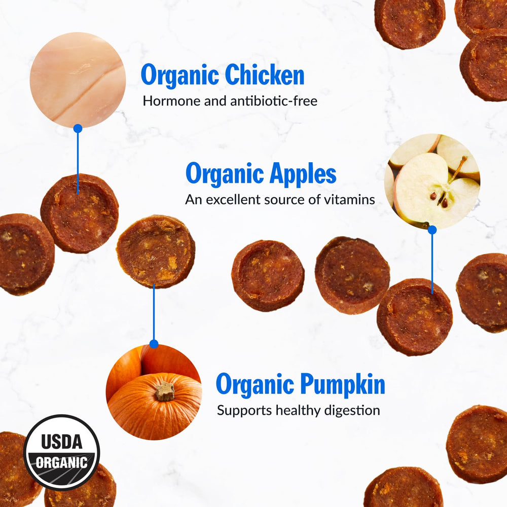 PetPlate libre de granos, snack natural para perros activos.