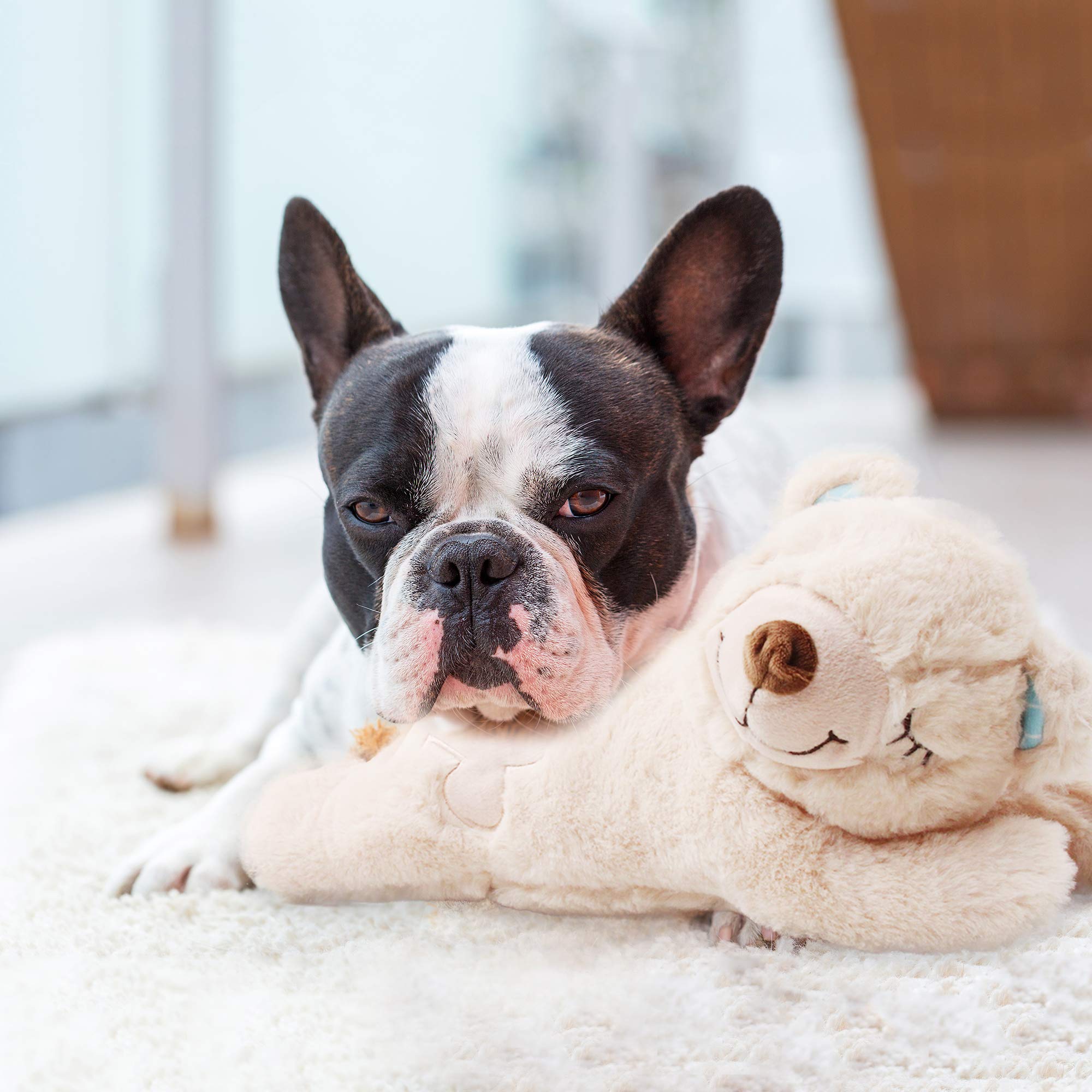 PetPrime compañero de sueño para perros, brinda sensación de seguridad.