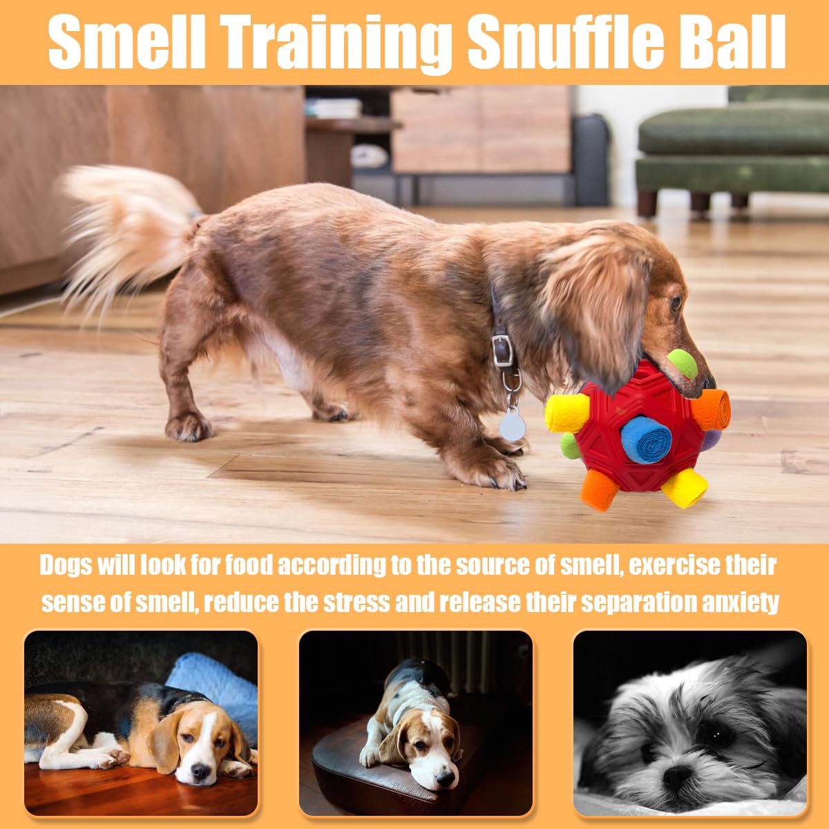 Petration boule-snuffle utilisable en intérieur et extérieur par tout temps