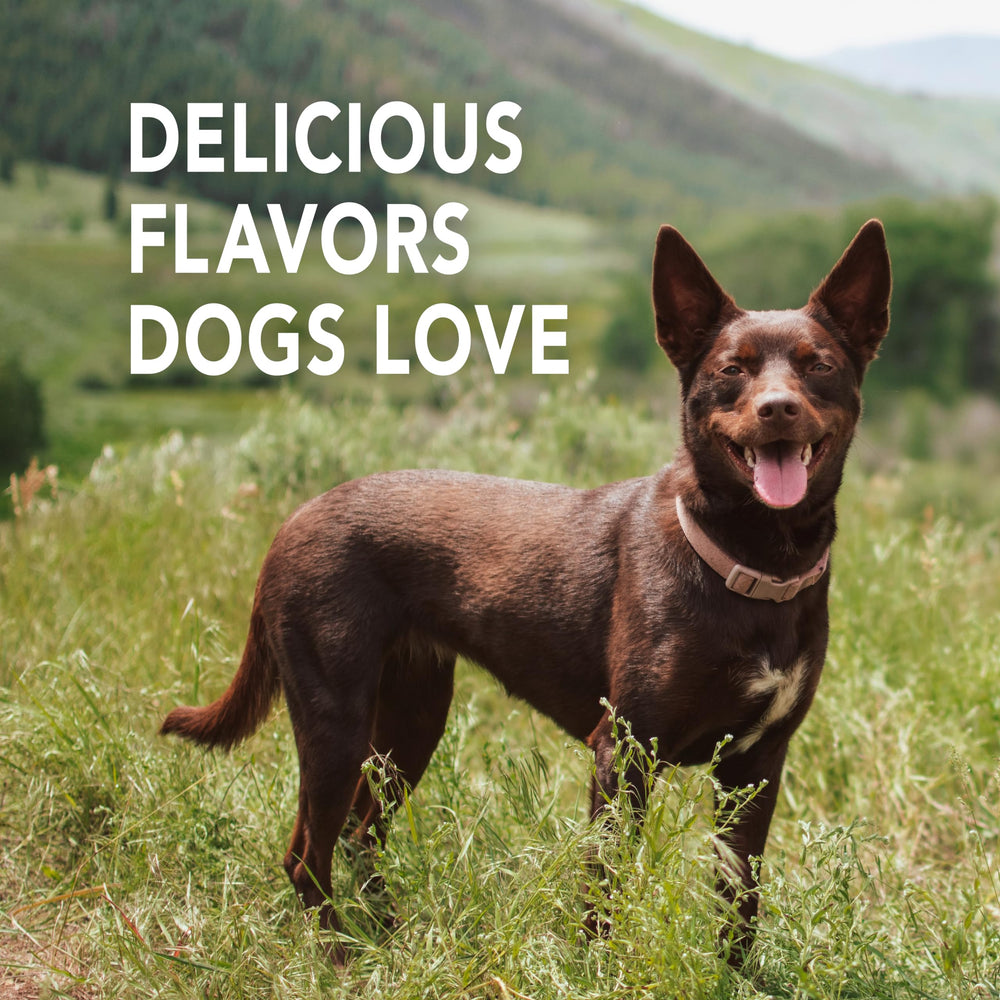 Pasta dental Petrodex para perros sabor ternera ofrece variación de sabor.