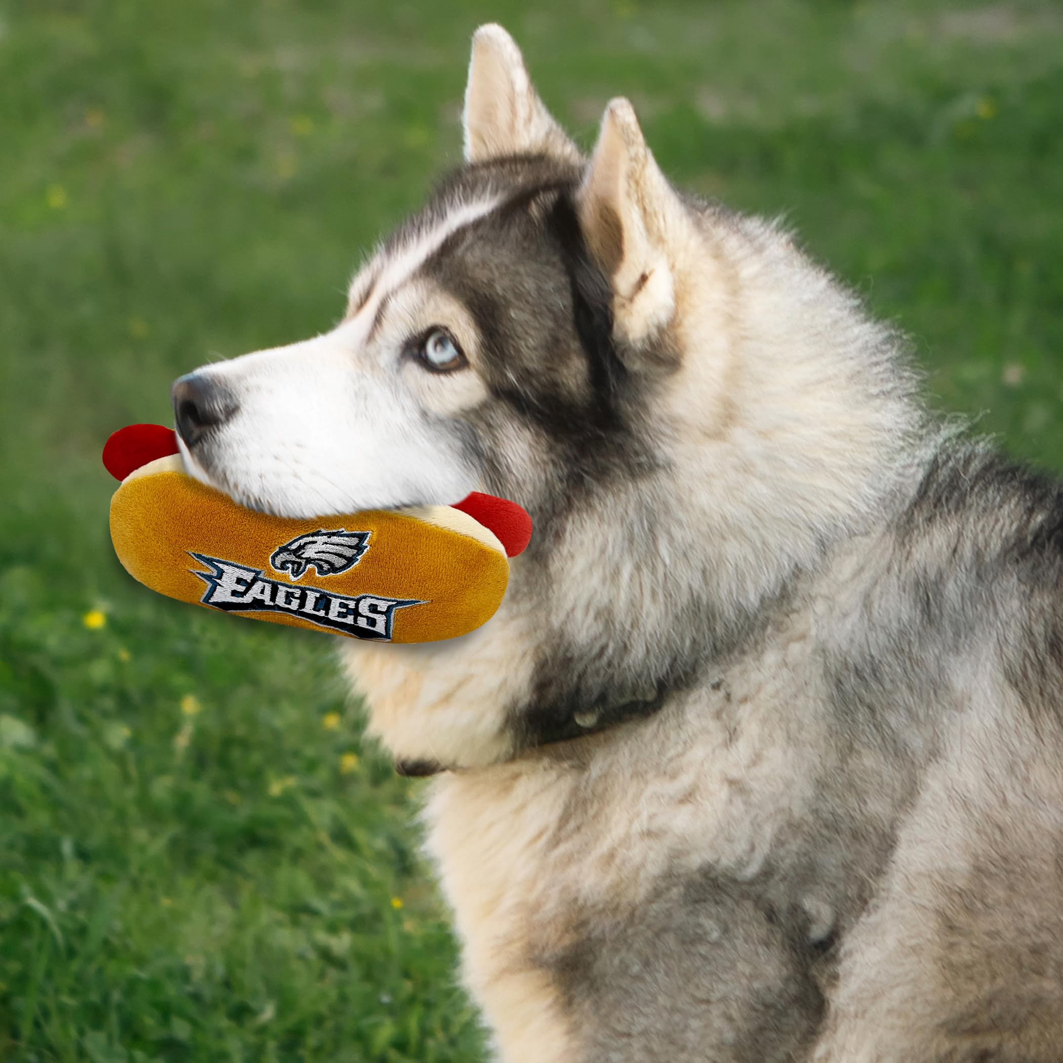 Juguete Pets First Eagles para jugar en casa, ideal para entrenar.