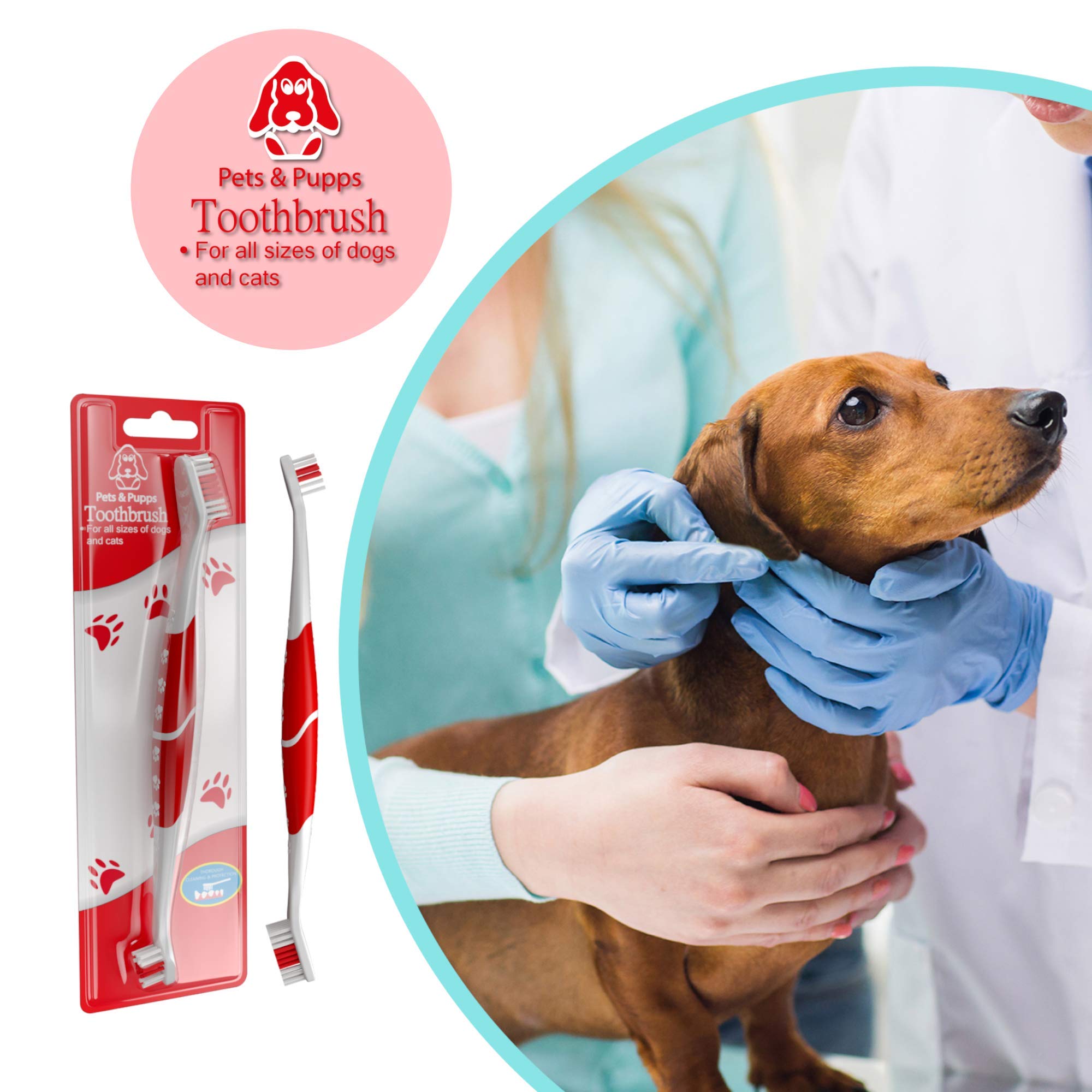 Pack de deux brosses rouges Pets & Pupps, prêt à l’emploi.