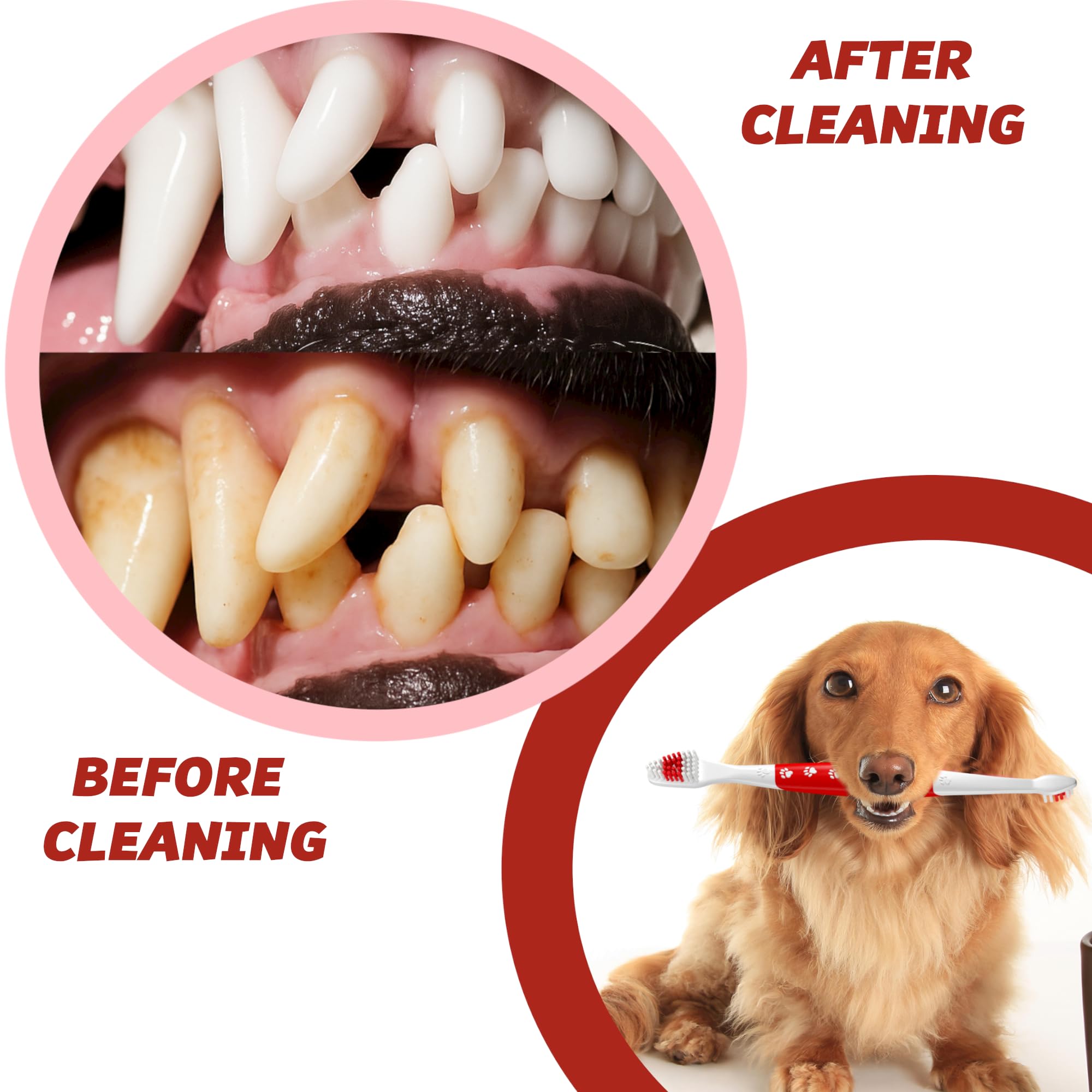 Pets & Pupps kit de 4 cepillos rojos para cuidado dental