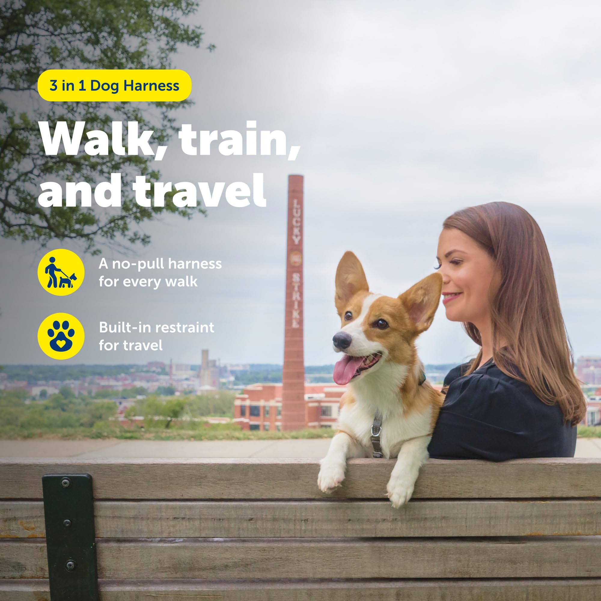 PetSafe Arnés 3 en 1 acolchado para mayor confort durante caminatas
