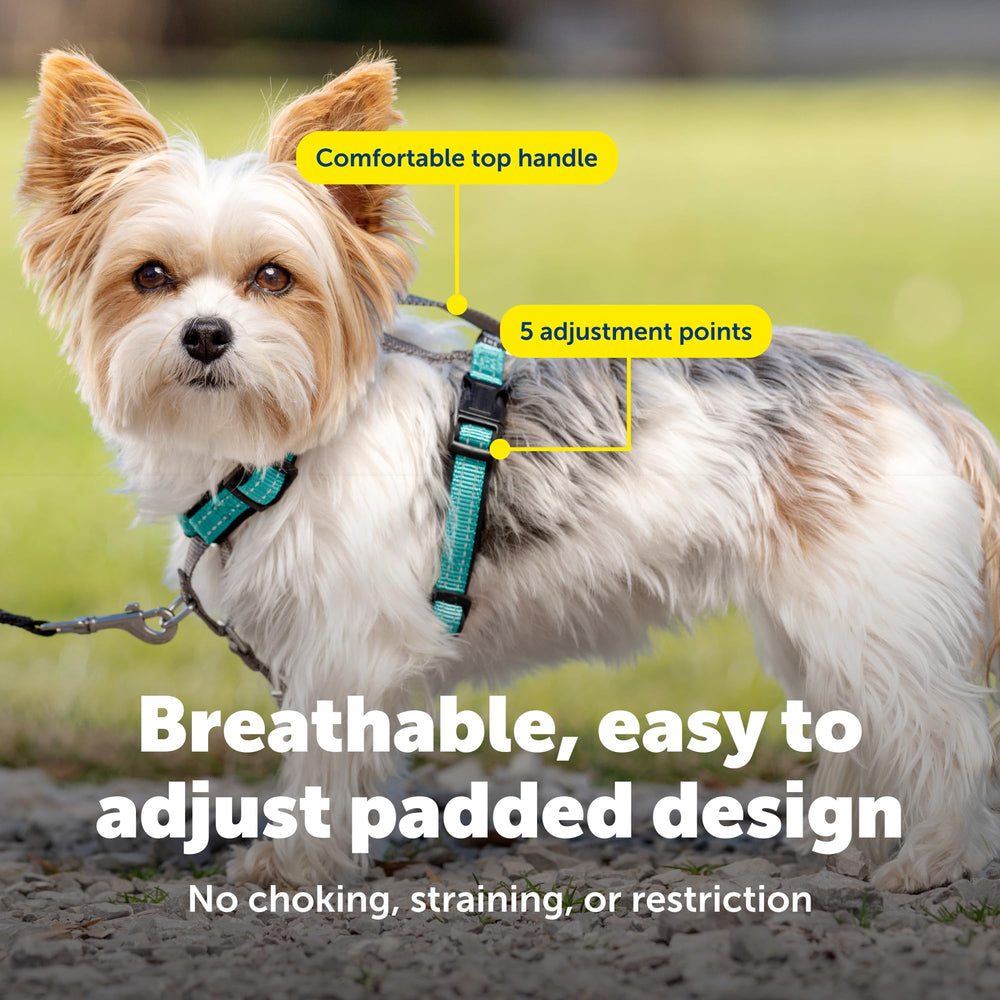 PetSafe Arnés 3 en 1 con acolchado suave para mayor comodidad