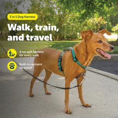 PetSafe Arnés 3 en 1 con bucle Martingale para entrenamiento suave