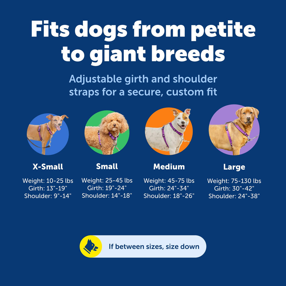 PetSafe Arnés 3 en 1 ciruela asa de control para paseos calmados.