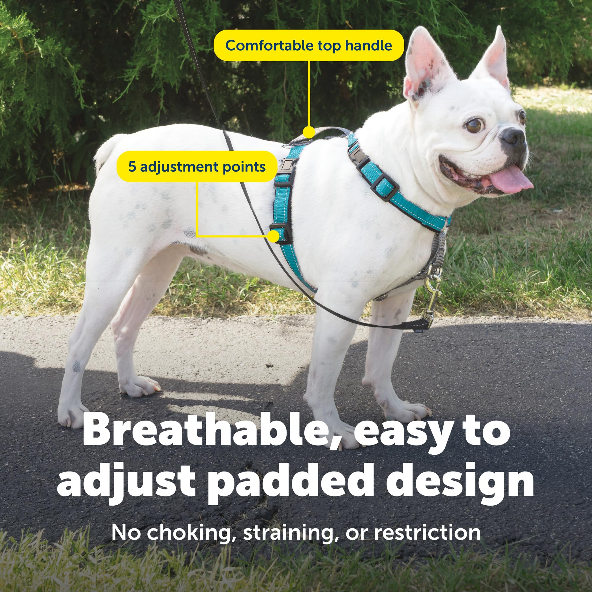 PetSafe Arnés 3 en 1 con correa ventral para control gradual