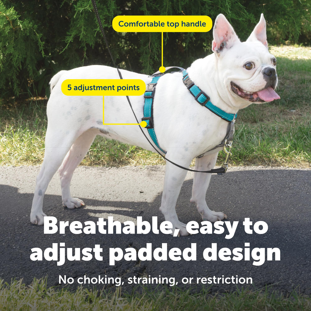 PetSafe Arnés 3 en 1 con correa ventral para control gradual