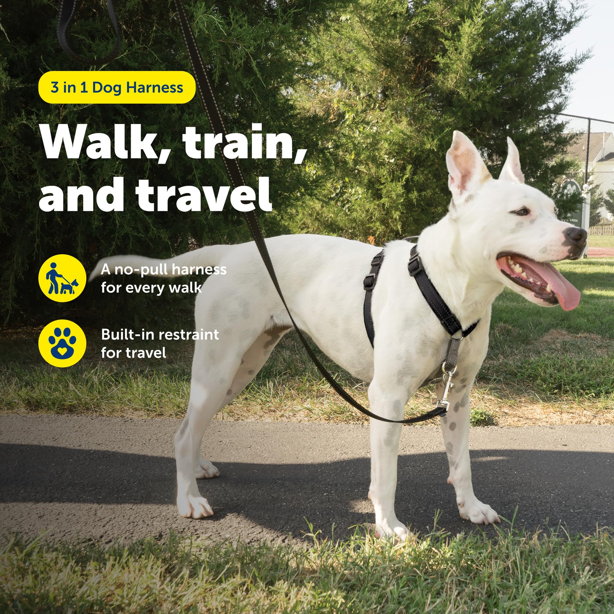 PetSafe arnés 3-en-1 con diseño Martingale para presión gradual y menor tirón