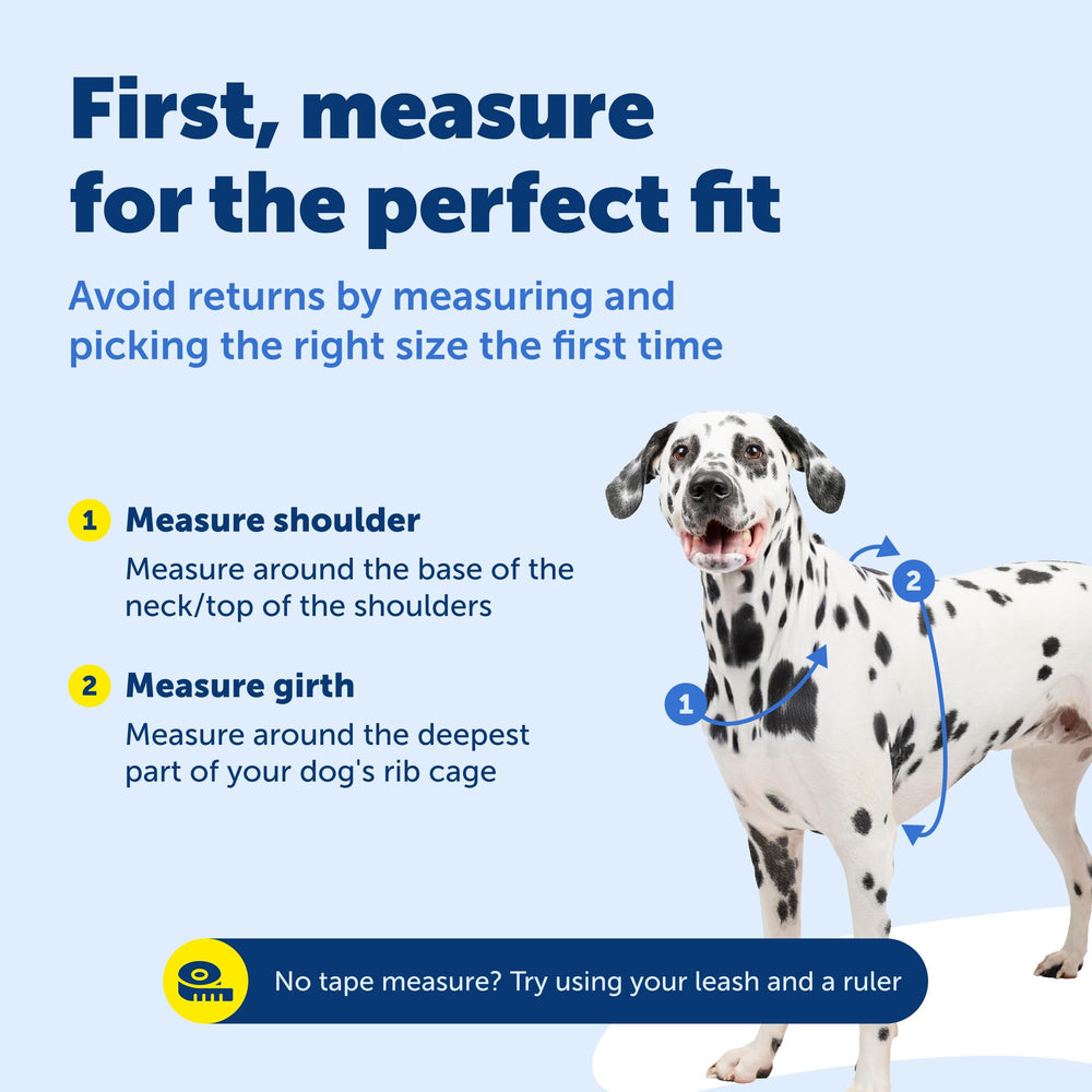 PetSafe arnés con forro suave y ajuste seguro para caminatas diarias