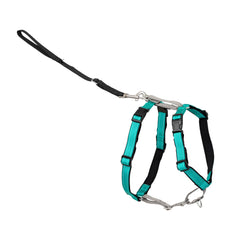 PetSafe 3-en-1 arnés frente-correas para paseos más tranquilos