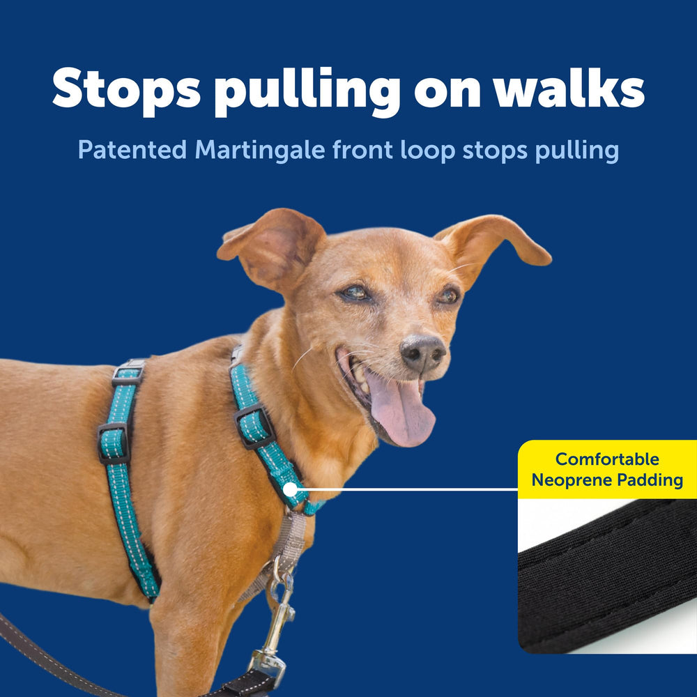 PetSafe Arnés 3 en 1 para coche con lazo de cinturón de seguridad