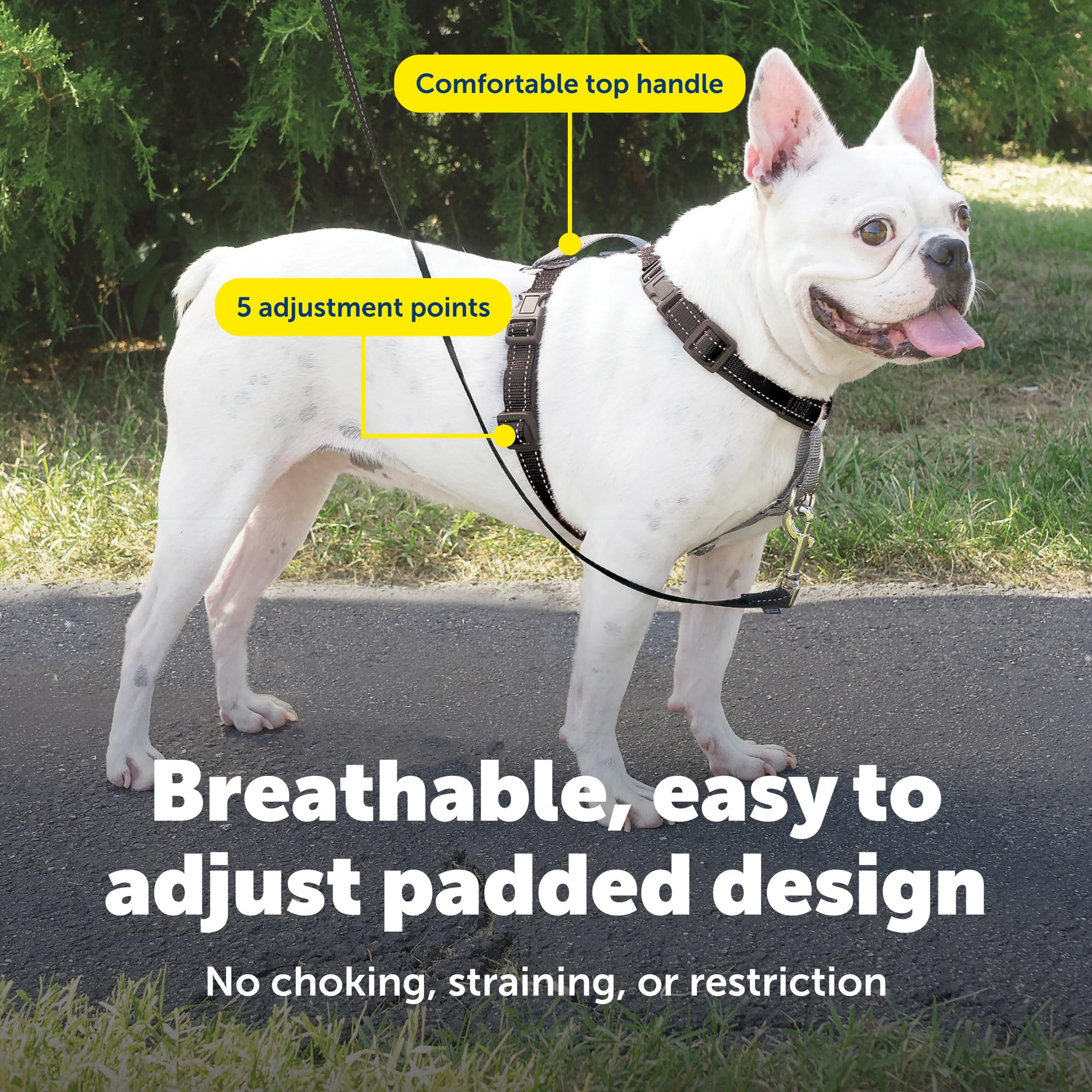 PetSafe arnés con acolchado suave para paseo diario cómodo