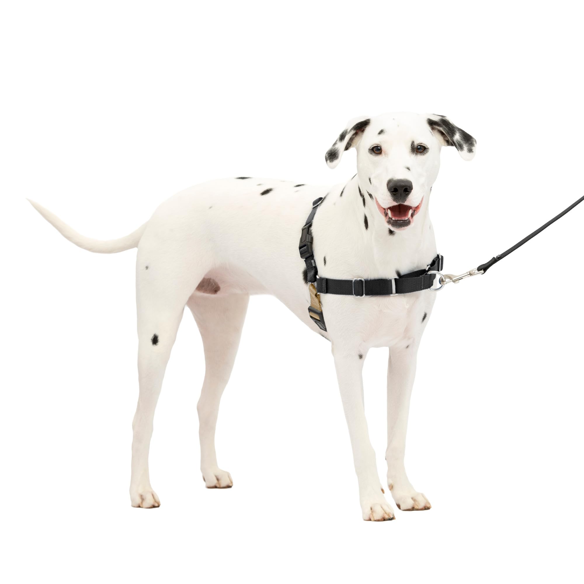 PetSafe Arnés Fácil Paseo, vista frontal con lazo martingala para paseos sin tirar.