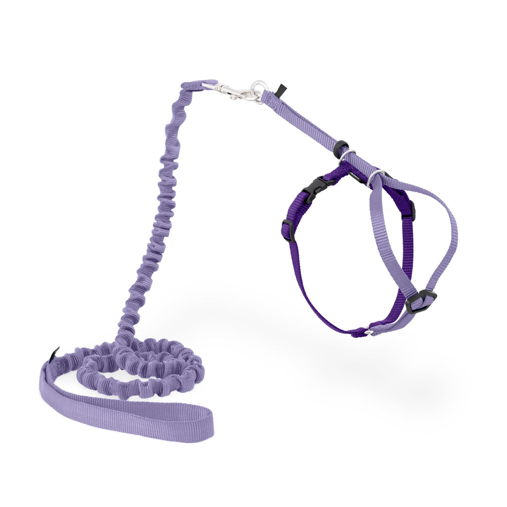 PetSafe arnés para gato lilas para paseos seguros y cómodos.