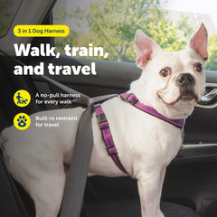 Arnés PetSafe con anilla dorsal para control estable en paseos.