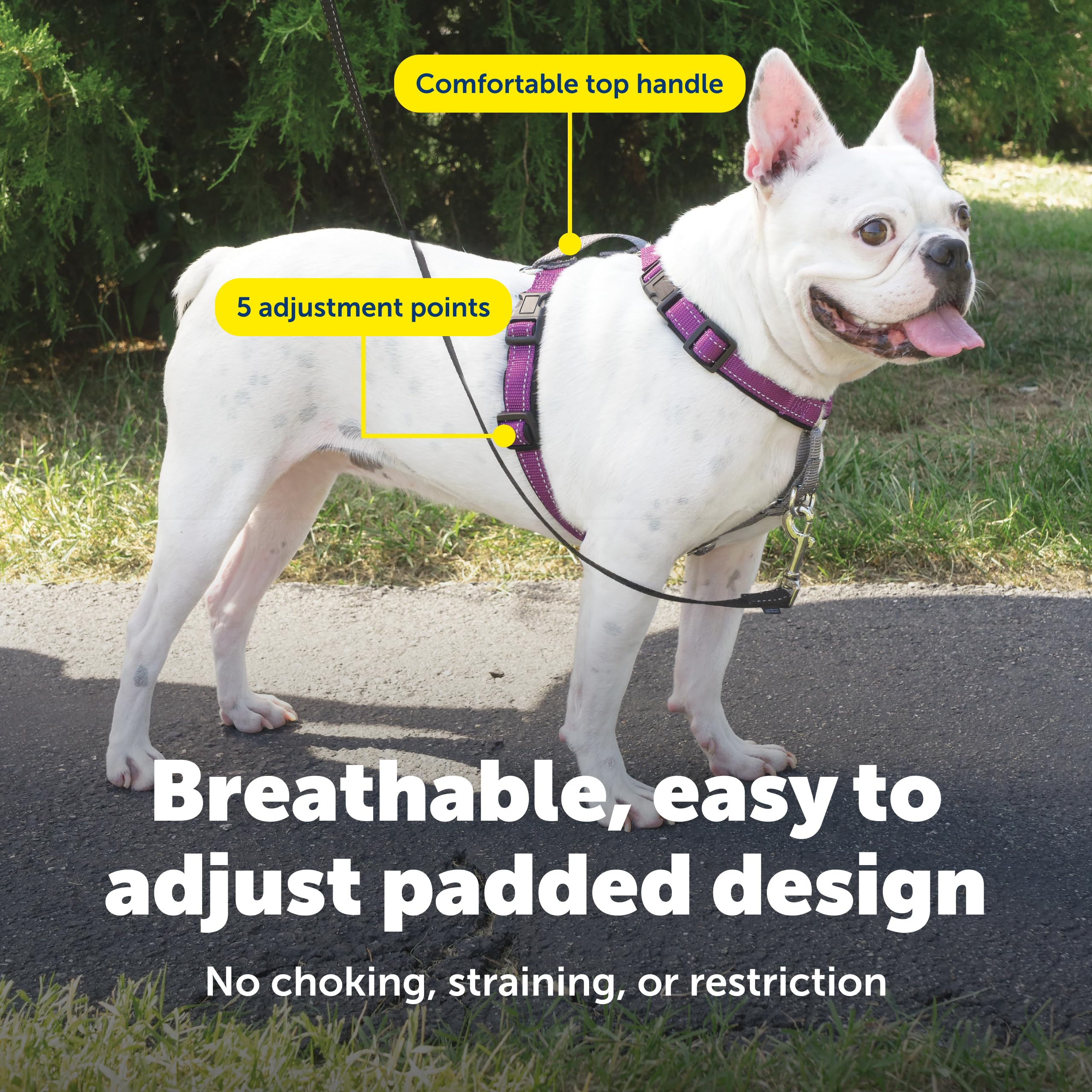 Arnés PetSafe con acolchado suave para comodidad durante caminatas.