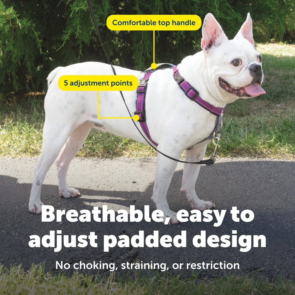 Arnés PetSafe con acolchado suave para comodidad durante caminatas.