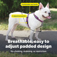 Arnés PetSafe con acolchado suave para comodidad durante caminatas.