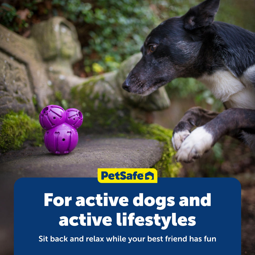 PetSafe Barnacle, apto-lavavajillas: limpieza fácil tras cada sesión.