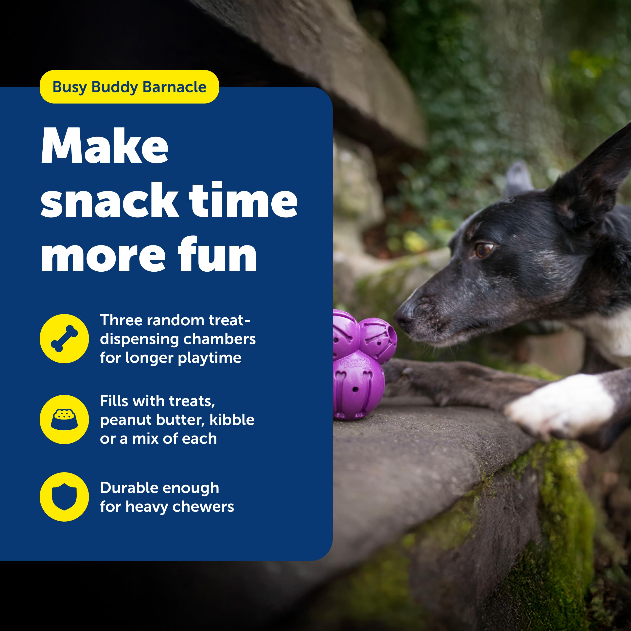 PetSafe Busy Buddy Barnacle: tres cámaras de premios para estimulación mental.