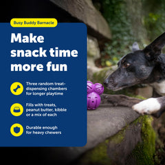 PetSafe Busy Buddy Barnacle: tres cámaras de premios para estimulación mental.