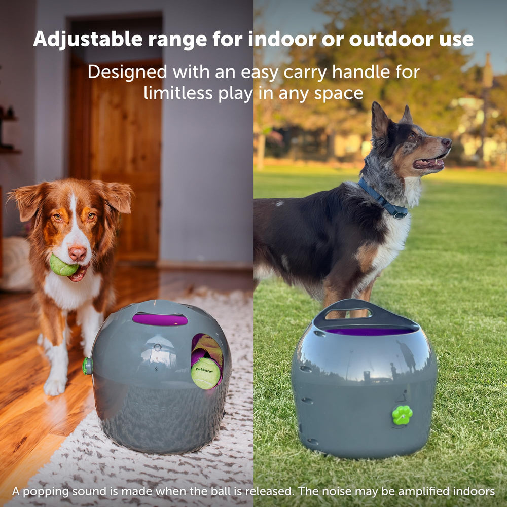 PetSafe Pelotas de tenis suaves incluidas para juego seguro